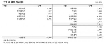 최대주주 합병 평택에너지앤파워 채무부담 상승...등급전망 하향