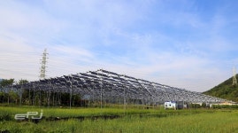 [현장을 찾아서_한국남동발전 영농형 태양광]농가, 태양광을 만나다… 쌀·전기 한꺼번에 생산