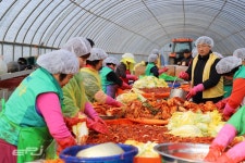 서부발전, 지역주민과 김장 나눔활동 전개