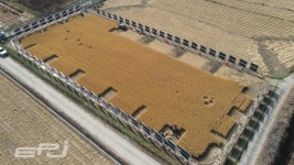 그랜드썬기술단, 영농형 펜스 태양광··· 실증으로 증명한 기술력