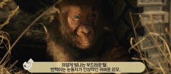 램페이지 동물농장 영상 공개...고릴라-드웨인 존슨 과격한 놀이 정체는?