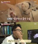 동물농장 진돗개 폭행사건 충격...화풀이용 무자비 폭행