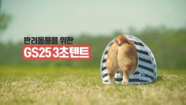 편의점 반려동물 매출 쑥쑥…GS25 반려동물 3초텐트 증정