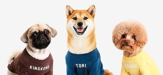 백화점부터 편의점까지, 펫팸족 저격 추석선물 이벤트 6