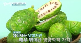노니, 건강식품이라더니...쇳가루 최대 56배 검출, 해당 제품은 무엇?