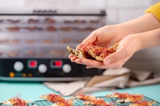 [1인가구 필수템] 직접 만드는 우리집 반려동물 간식 리큅 펫푸드메이커