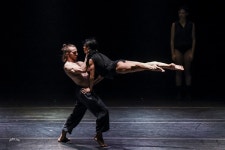 2019 모다페, 키부츠현대무용단 등 화려한 라인업...공존-공생의 길 모색