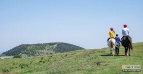 반짝반짝 빛나는 봄과 여름 사이...5월 제주여행 PICK 10