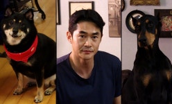 미우새 배정남, 犬자매 벨X춘뽕과 좌충우돌 하루 공개
