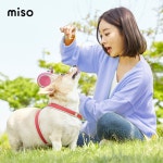미소, 펫시팅 서비스 부산 확대...반려동물 산책·방문돌봄