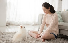오줌냄새, 날리는 털...반려동물 가구 위생관리 어떻게?