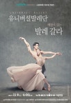 유니버설발레단 백조의 호수 클래식 명장면, 해설과 함께
