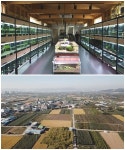 SBS스페셜 시골가게 영업비밀, 시골로 떠난 도시청년
