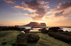 신년맞이 해돋이 여행, 일출명소 찍고 남도 별미 먹방까지