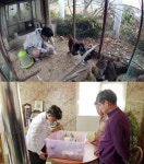 공부가머니 닭과 사랑에 빠진 입시생을 위한 맞춤 솔루션은?