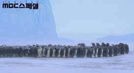 송중기 내레이션 UHD다큐 '황제펭귄 펭이와 솜이'...오늘(2일) 방송