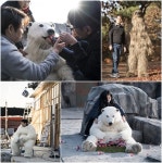 해치지않아, 동산파크 5인방 동물 변신기...비하인드 스틸 공개