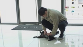 날 입양해라 지독한 스토커 고양이 뻔이의 사연은?(TV 동물농장)