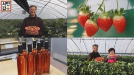 서민갑부 딸기로 연 매출 10억원, 귀농 안착 성공기