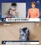 유튜버 갑수목장 동물학대 의혹, 악의적 편집…허위사실 유포 법적 대응