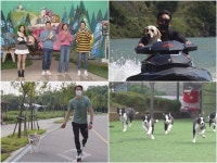 청하, 27일 TV 동물농장 스페셜 MC 출격 어릴 때부터 열혈 시청