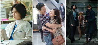 안은영→효리네민박 투게더로 힐링! 추석 연휴 넷플릭스 추천작
