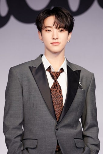 세븐틴 호시 