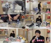 최양락, 베들링턴 테리어와 개맥주+개치킨 드링킹 아들·딸보다 낫다