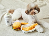 쉐이크쉑, 반려견 전용 인형제품 2종 구매 이벤트