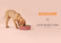 씽크라이크펫, 고메이494서 반려견 화식 팝업스토어