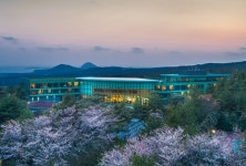 크라운구스xWE호텔 제주, 로얄 포레 스위트 패키지 인기