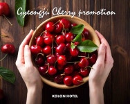 코오롱호텔, 지역 농가 협업 경주 체리 프로모션