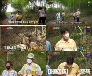 맛남 백종원X양세형, 죽순농장 재방문…매출↑에 얼굴 활짝