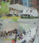 세븐틴, 비글돌에서 힐링돌로…인더숲 마지막회