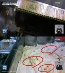 던킨도너츠 공장, 위생 논란...회사 측 매일 청소