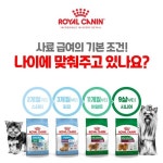 로얄캐닌, 반려동물 나이별 필수 영양은? 건강한 시작 캠페인