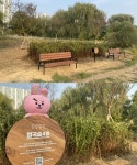 BTS 정국 이름 딴 숲 생긴다...한강공원 정국 숲 4호 조성