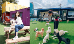 모델 김효진, 반려견 운동장 오픈→유기견 구조 바자회 진행 훈훈