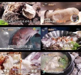 백반기행 참돔찜→굴구이 살이 깊어…씹을수록 구수한 맛