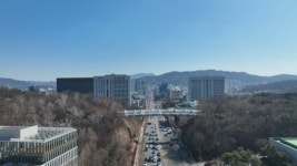 동네 한바퀴 방배동 몽마르뜨 공원→통영의맛 도다리쑥국