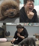 나혼산 전현무, 무무 강아지 유치원 오픈…한라산 얼굴 재등장