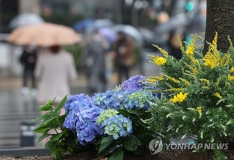 [내일날씨]눈·비 내리는 주말…미세먼지 '좋음'