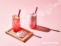 뉴코오롱관광 주식회사 (NEW KOLON TRAVEL) | 코오롱 리조트·호텔, '스프링 블룸' 프로모션으로 봄여행객 저격