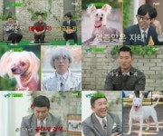 불테리어‧차이니즈 크레스티드 독, 조세호‧유재석 닮은꼴? "너무 똑같아"