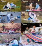 정동원, 동원아 여행 가자 장민호 극과극 영월 여행…최고 4.8%