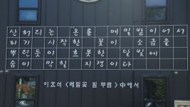 동네한바퀴 평창 육백마지기→올림픽시장 메밀부치기 골목