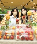 대극천·옐로드림...롯데마트, 전국 팔도 이색 복숭아 선봬