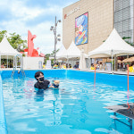 스타필드 하남, 반려견 위한 스타필드 펫터파크 개장