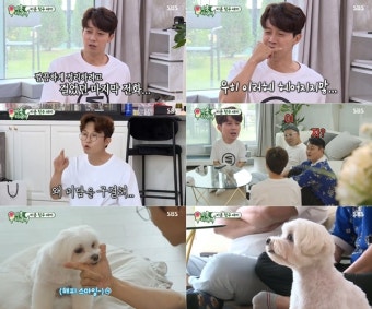 '미우새' 허경환 치부 폭격하는 박성광...박영진에게 이자 받은 썰