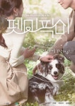 김이나·한해·허영지→수의사 설채현, 펫미픽미 21일 첫방송